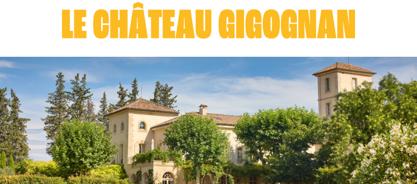 Découvrez l'histoire du Château Gigognan